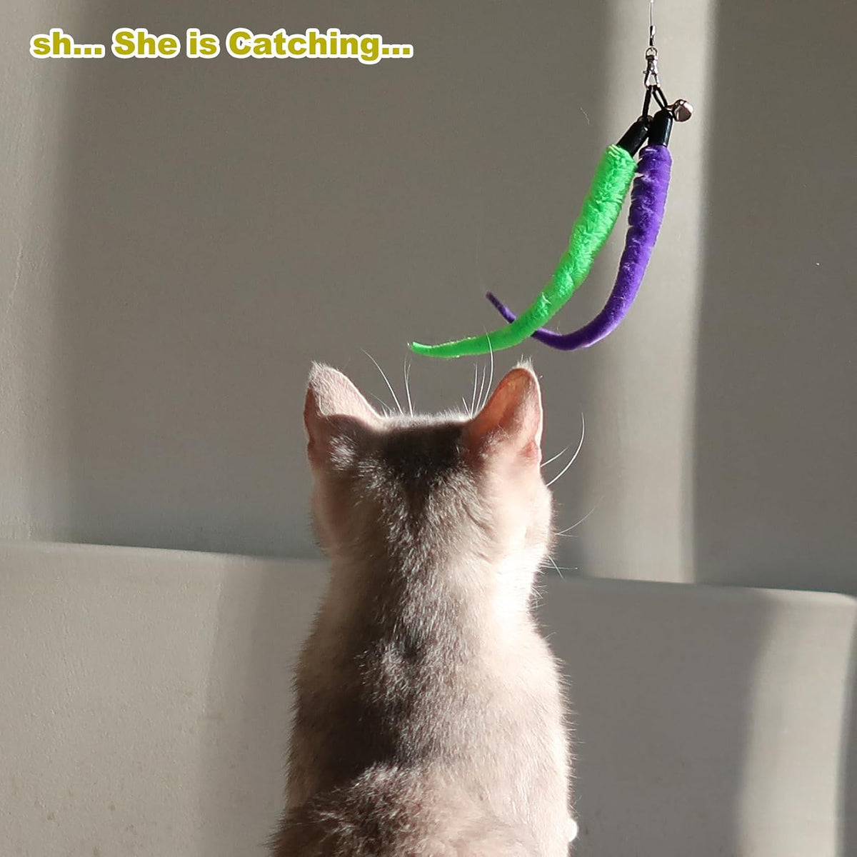 MeoHui Retractable Cat Feather Wand Toy Set - 11 Pieces