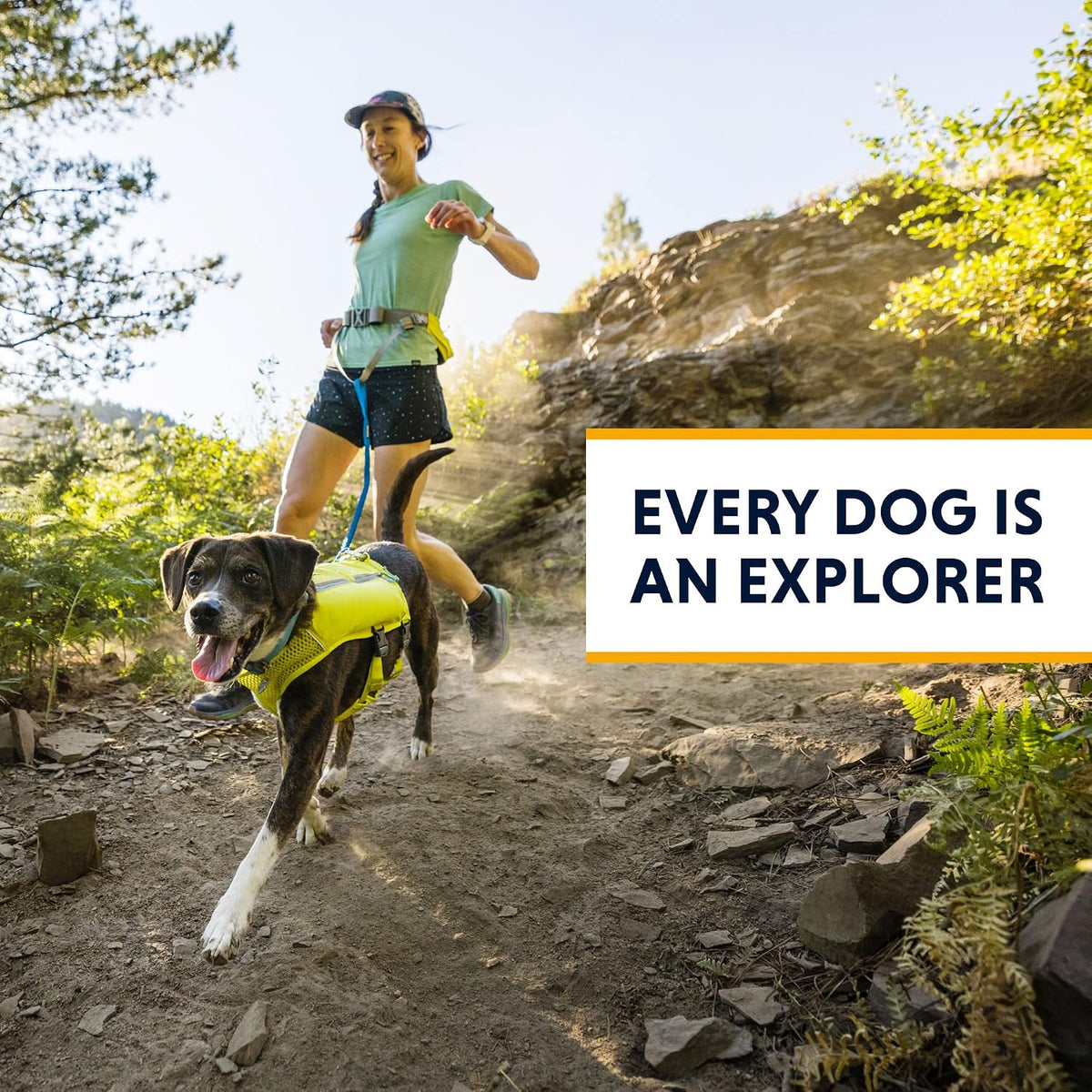 Ruffwear Trail Runner Laufweste für Hunde, Lichen Green
