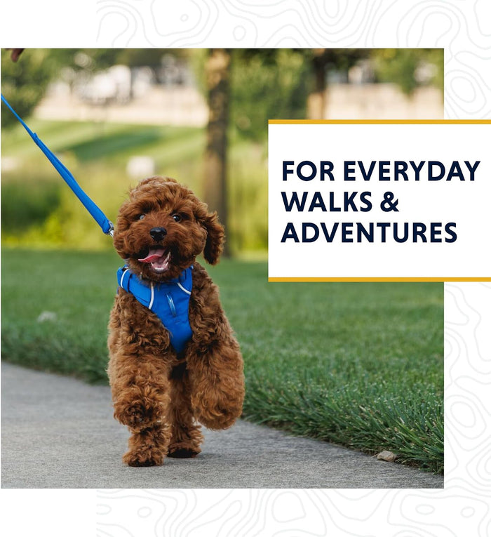 Ruffwear Front Range Dog Leash, 5 ft